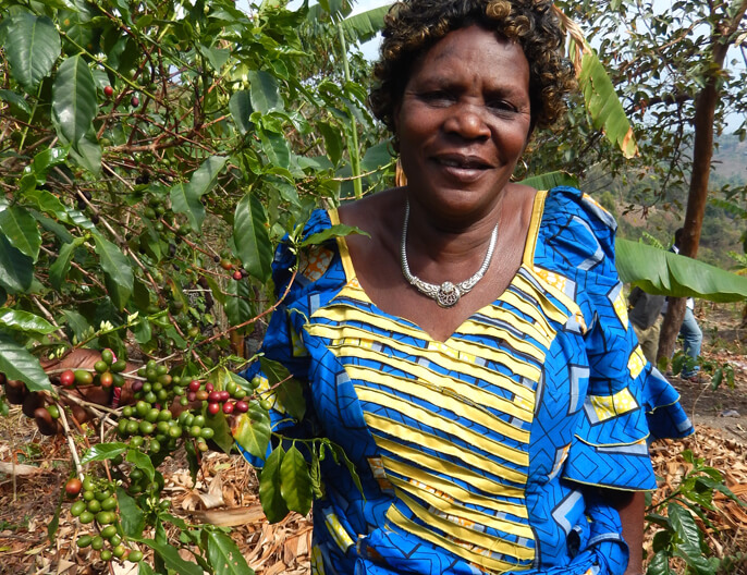 Paire De Pneus VTT Roverstone 26x2.125 - Bleu Foncé, Carcasse à Tringles, Pour MTB